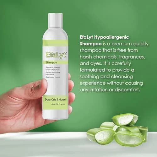 EfaLyt Pet Shampoo and Cream Rinse Set, Hypoallergenic Formula with Essential Fatty Acids, 12 fl oz (Cream Rinse) | Natural Moisturizing for Pets thumbnail 2