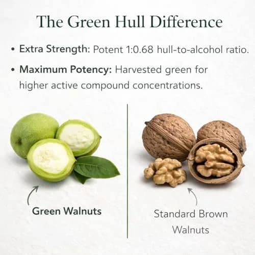 Dr Clark Store Green Black Walnut Hull Tincture Extract 118ml (4 Fl Oz) | Supports Intestinal Microbial Balance thumbnail 5