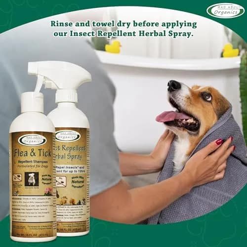 Mad About Organics Flea & Tick Protection Shampoo for Dogs – Gentle, pH Balanced, 16 FL OZ | Natural Shea & Cocoa Butter thumbnail 2