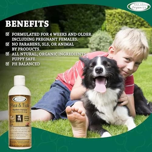 Mad About Organics Flea & Tick Protection Shampoo for Dogs – Gentle, pH Balanced, 16 FL OZ | Natural Shea & Cocoa Butter thumbnail 3