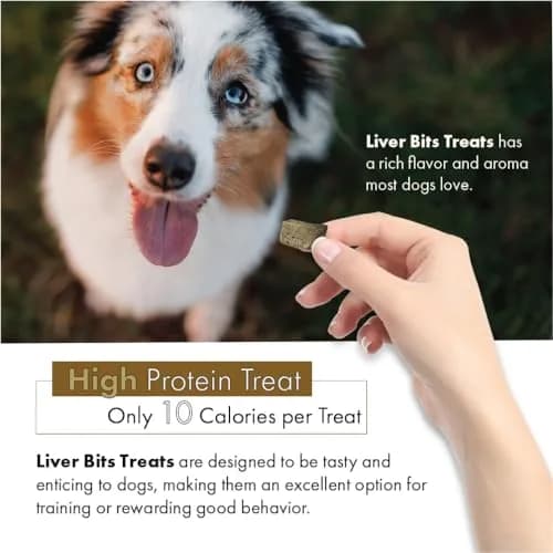 Liver Bits Freeze Dried Dog Treats 60 Count | All Natural Beef Liver, Low Calorie, USA Made thumbnail 4