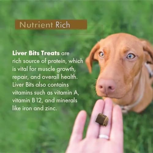 Liver Bits Freeze Dried Dog Treats 60 Count | All Natural Beef Liver, Low Calorie, USA Made thumbnail 7