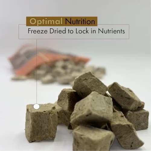 Liver Bits Freeze Dried Dog Treats 60 Count | All Natural Beef Liver, Low Calorie, USA Made thumbnail 3