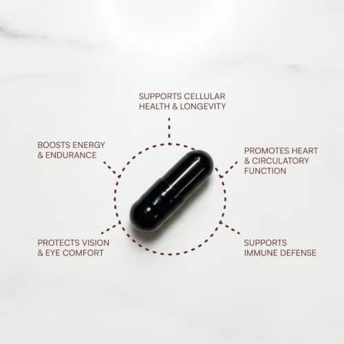 Purity Products AstaFX Astaxanthin Antioxidant Super Formula 60 Capsules | Supports Immune & Heart Health thumbnail 3
