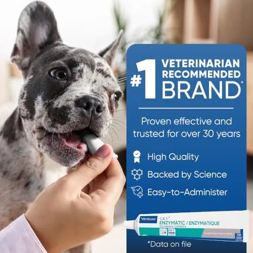 Virbac C.E.T. Enzymatic Toothpaste Vanilla Mint Flavor 70g (2.5 oz) | Vet Recommended Tartar & Plaque Control thumbnail 5