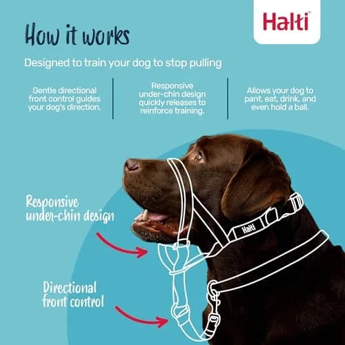 Halti Headcollar Size 2 Black | Stops Dog Pulling on Leash thumbnail 2