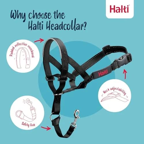 Halti Headcollar Size 2 Black | Stops Dog Pulling on Leash thumbnail 3