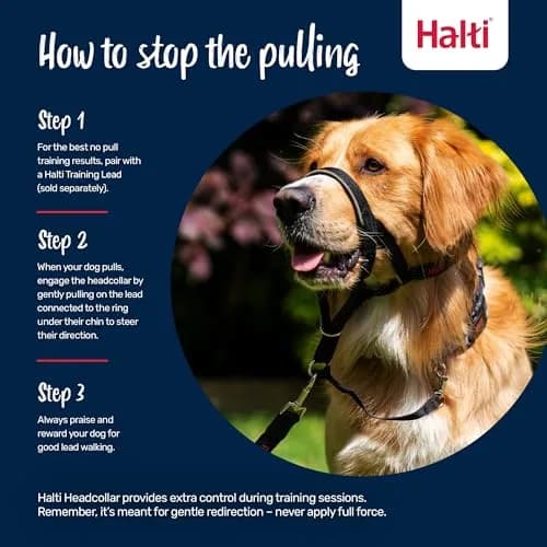 Halti Headcollar Size 2 Black | Stops Dog Pulling on Leash thumbnail 4