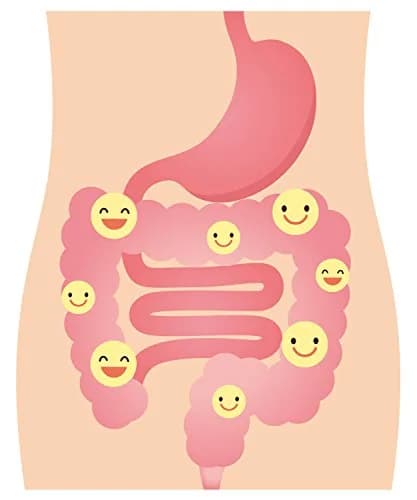 DrFormulas Nexabiotic Multi Probiotic 60 Count Capsules | 34.5 Billion CFUs for Digestive Health thumbnail 7