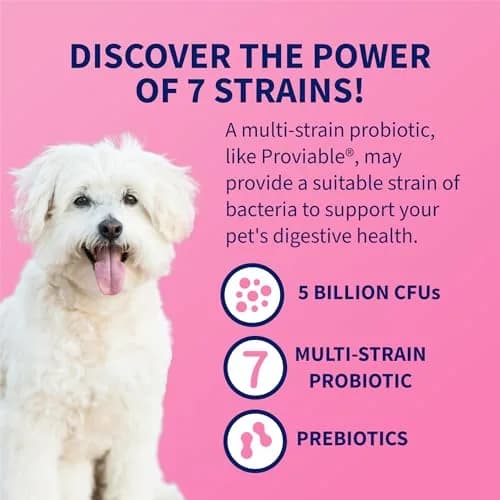 Nutramax Proviable Probiotics for Dogs & Cats Sprinkle Capsules 30 Count | Multi-Strain Gut Health Support thumbnail 5