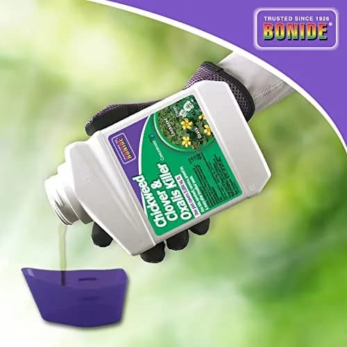 Bonide Chickweed, Clover & Oxalis Killer, 16 oz Concentrate | Powerful Weed Control for Lawns thumbnail 6