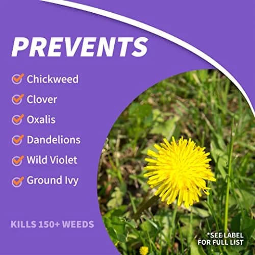 Bonide Chickweed, Clover & Oxalis Killer, 16 oz Concentrate | Powerful Weed Control for Lawns thumbnail 3
