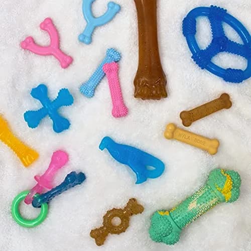 Nylabone Puppy Chew Teething Ring Bone Dog Toy, Chicken Flavor, X-Small (1.75 in Height x 3.75 in Length x 0.5 in Width) thumbnail 6