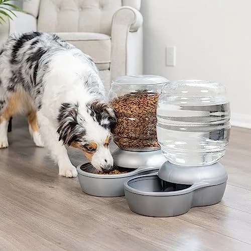 Petmate Replendish Gravity Waterer for Cats and Dogs 4 Gallons | BPA-Free, Made in USA, Easy Refill thumbnail 2