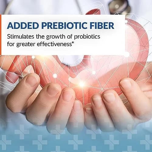 Arthur Andrew Medical Syntol AMD Probiotic Multi-Enzyme 360 Count | Digestive Wellness & Candida Support thumbnail 4