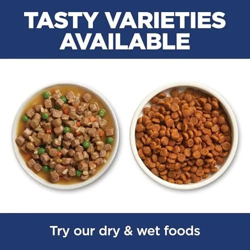 Hill's Science Diet Senior 11+ Dry Cat Food Chicken Recipe 1.58 kg (3.5 lb) | Supports Healthy Aging & Digestion thumbnail 7