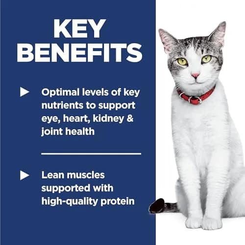 Hill's Science Diet Senior 11+ Dry Cat Food Chicken Recipe 1.58 kg (3.5 lb) | Supports Healthy Aging & Digestion thumbnail 3