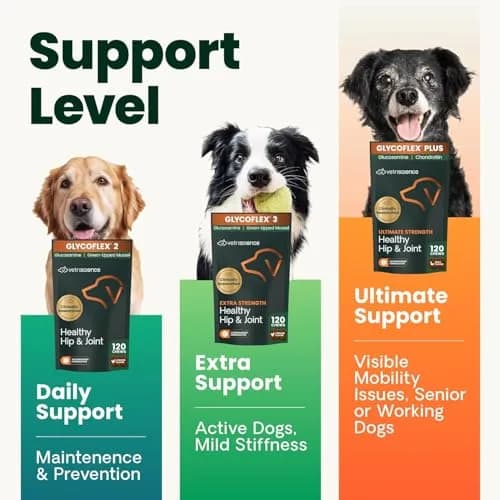 VetriScience Extra Strength Healthy Hip & Joint Chews for Small Dogs | 60 Count thumbnail 3