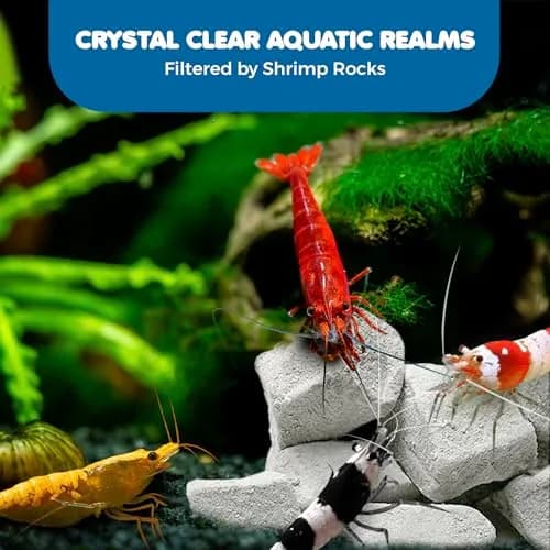 SunGrow Shrimp Rocks - Calcium & Magnesium for Crustaceans, 60g (2 oz) | Enhances Color & Shell Health thumbnail 5