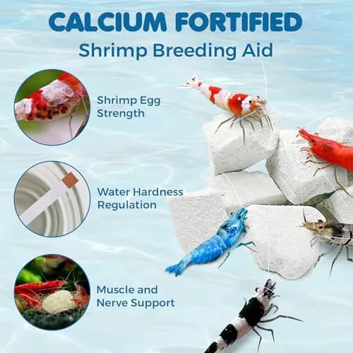 SunGrow Shrimp Rocks - Calcium & Magnesium for Crustaceans, 60g (2 oz) | Enhances Color & Shell Health thumbnail 3