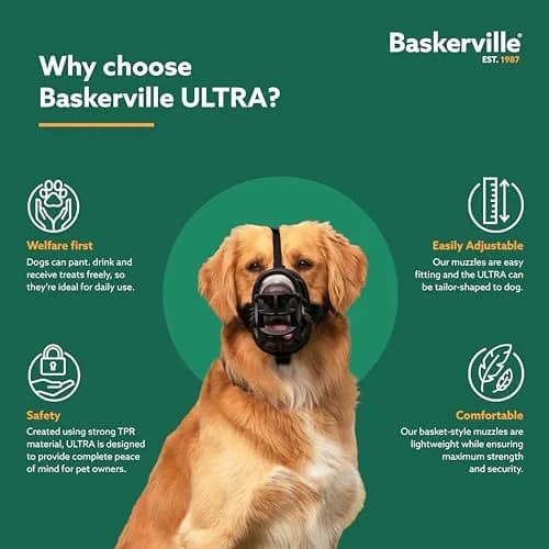 Baskerville ULTRA Dog Muzzle Size 2 | Humane Fit for Small & Medium Dogs thumbnail 7