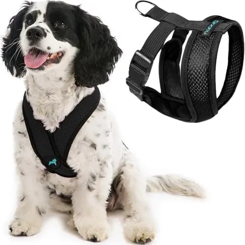 Gooby Comfort X Head-in Dog Harness, Choke-Free, Black, Medium (14.25-18.75" Chest) | Patented X Frame for Reduced Neck Stress thumbnail 1