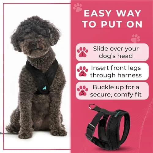 Gooby Comfort X Head-in Dog Harness, Choke-Free, Black, Medium (14.25-18.75" Chest) | Patented X Frame for Reduced Neck Stress thumbnail 7