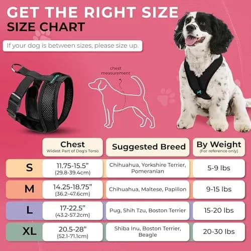 Gooby Comfort X Head-in Dog Harness, Choke-Free, Black, Medium (14.25-18.75" Chest) | Patented X Frame for Reduced Neck Stress thumbnail 4