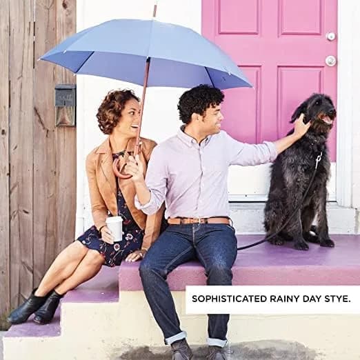 Totes Auto Open Water Repellent Stick Umbrella with Classic Wood J Hook Handle | 122 cm (48") Arc thumbnail 8