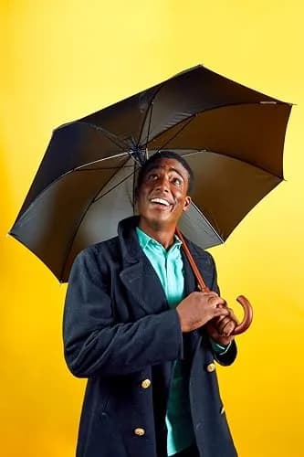 Totes Auto Open Water Repellent Stick Umbrella with Classic Wood J Hook Handle | Elegant, Durable & Rain-Ready thumbnail 3
