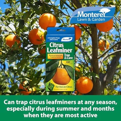 Monterey LG8920 Citrus Leafminer Trap and Lure | Organic Monitoring System for Citrus Trees thumbnail 4