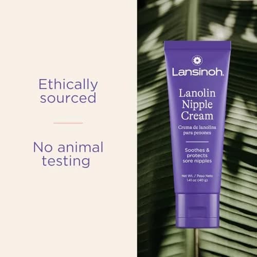 Lansinoh Lanolin Nipple Cream 40g (1.41 Oz) | 100% Natural, Safe for Baby, Dermatologist Tested thumbnail 8