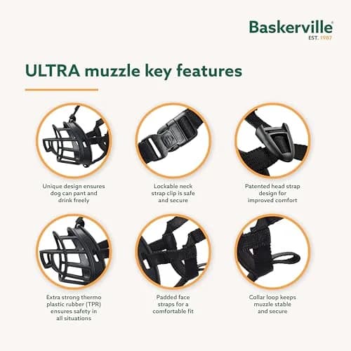 Baskerville ULTRA Dog Muzzle Size 3 | Humane Fit for Reactive Dogs, Adjustable & Padded thumbnail 3