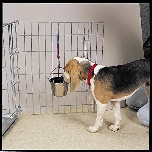 Pro Select Stainless Steel Flat Sided Pails — Durable Pails for Fences, Cages, Crates, or Kennels - 8¾", 6-Quart thumbnail 2