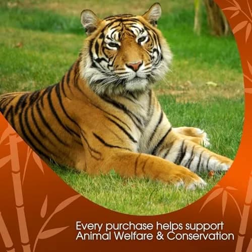 David Rio Tiger Spice Chai 1.8kg | Rich Masala Tea with Premium Spices thumbnail 6