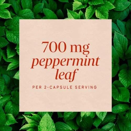 Nature's Way Peppermint Leaf Capsules, 700 mg | Traditional Digestive Support (110 chars) thumbnail 4