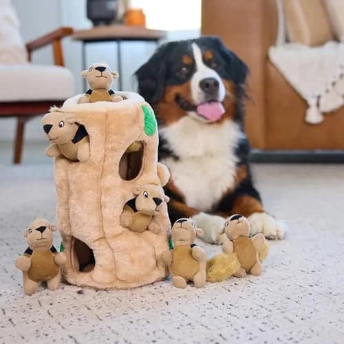 Outward Hound Hide-A-Squirrel Plush Squeaky Dog Toy XL (310g / 0.68lb) | Interactive Puzzle & Fetch Toy for Dogs thumbnail 6