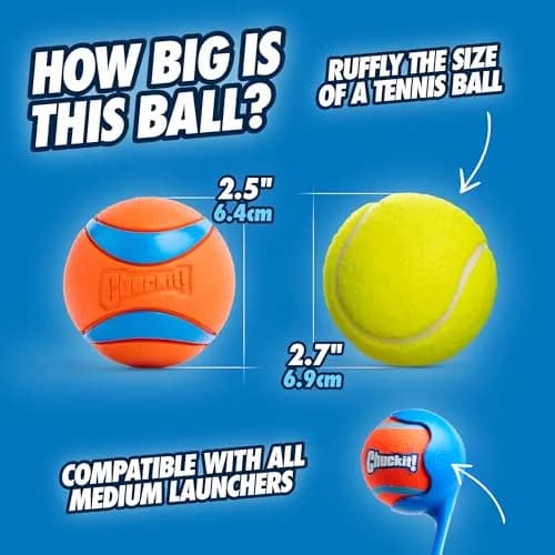 Chuckit! Ultra Ball Dog Toy Medium 2.5in (6.4cm) for Breeds 20-60lbs | High Bounce Fetch Ball thumbnail 3