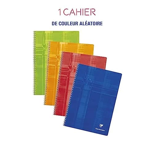 Clairefontaine Classic Wirebound Notebook 8 1/4 in. x 11 3/4 in. | Acid-Free French-Ruled Paper, 100 Pages, Assorted Colors thumbnail 2