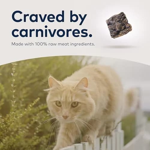 ZIWI Peak Air-Dried Lamb Cat Food 397g (14oz) | High Protein, Grain-Free, Ethically Sourced thumbnail 7