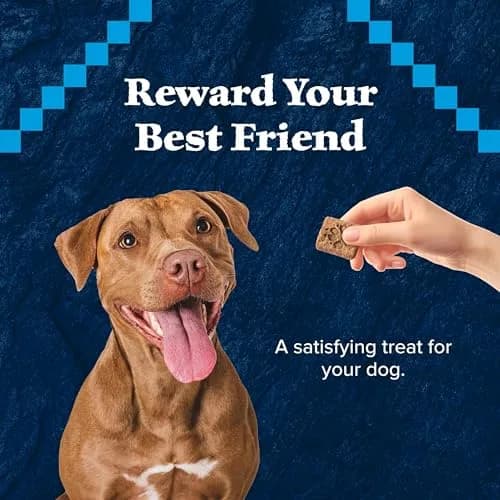 Blue Buffalo Wilderness Salmon Crunchy Dog Biscuits, Grain-Free, 283g (10 oz) | High Protein Nutrition for All Breeds thumbnail 7