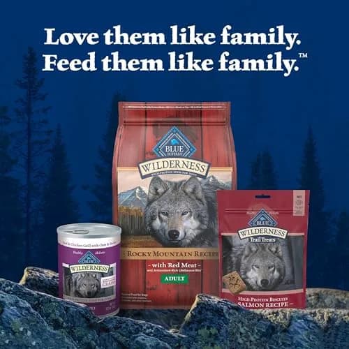 Blue Buffalo Wilderness Salmon Crunchy Dog Biscuits, Grain-Free, 283g (10 oz) | High Protein Nutrition for All Breeds thumbnail 8