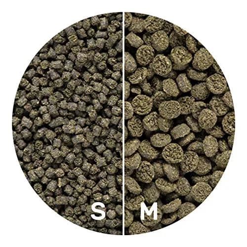 Hikari Seaweed Extreme Floating Pellets for Marine Herbivores 45g (1.58oz) | Promotes Growth & Immunity thumbnail 4