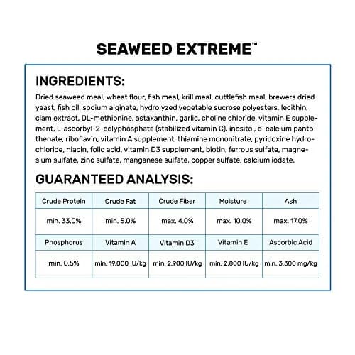 Hikari Seaweed Extreme Floating Pellets for Marine Herbivores 45g (1.58oz) | Promotes Growth & Immunity thumbnail 3