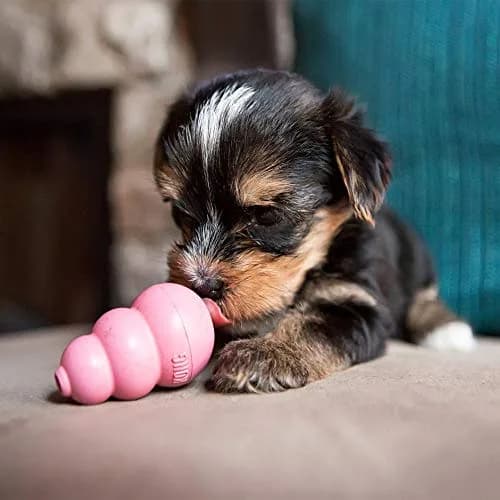 KONG Puppy Natural Rubber Teething Chew Toy for XS Puppies | Gentle, Bounce & Stuffable thumbnail 2