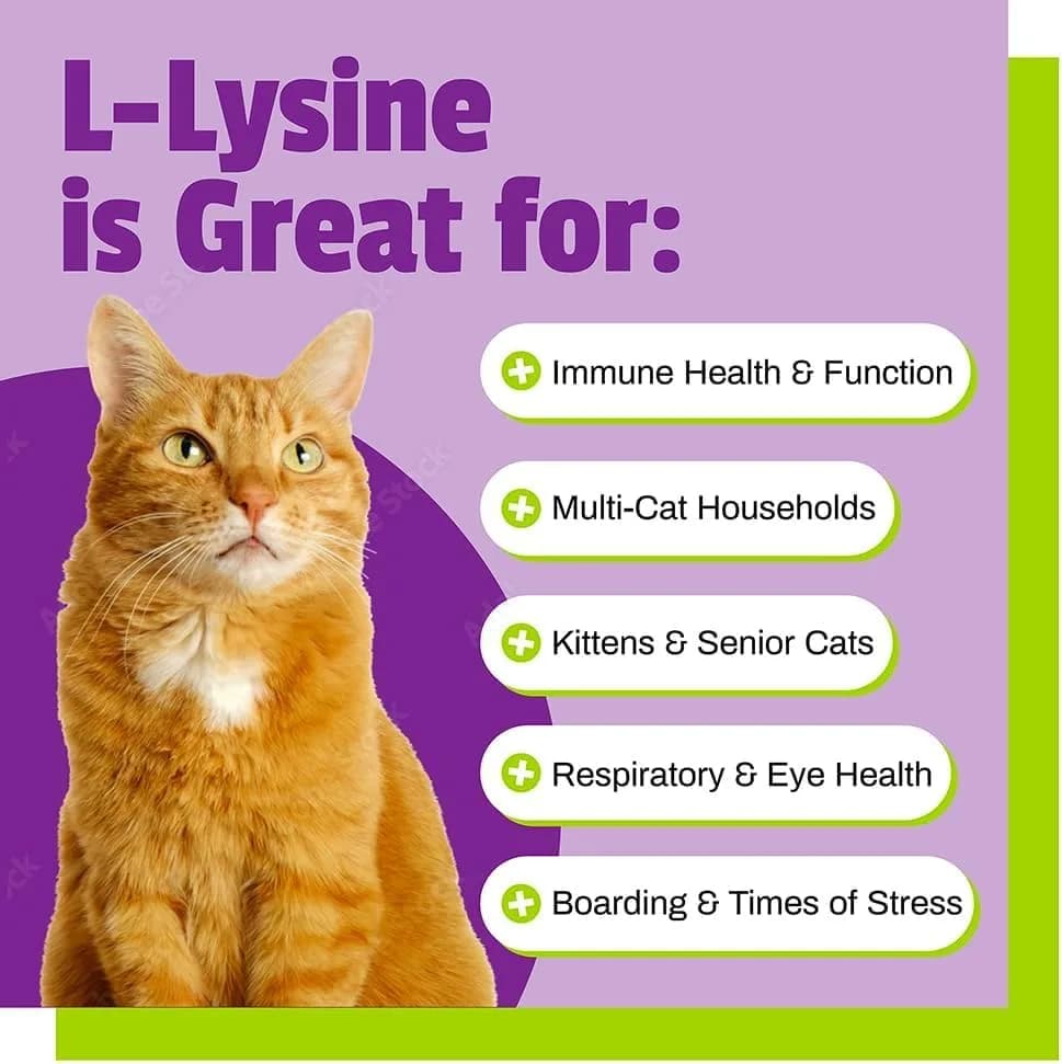 Pet Naturals Lysine Chews for Cats, Chicken Flavor, 60 Count | Immune & Respiratory Support for Cats thumbnail 4