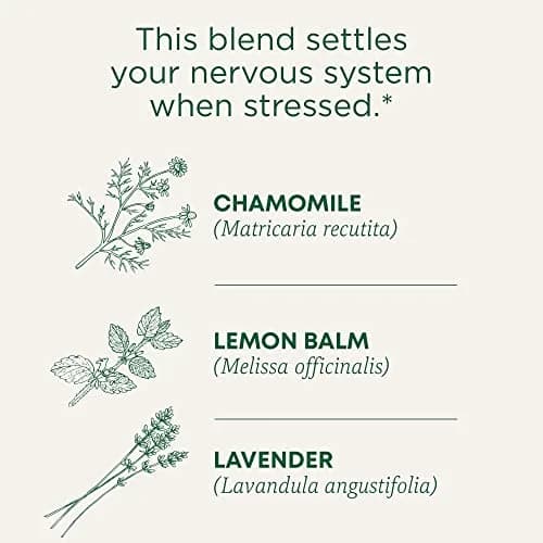 Traditional Medicinals Organic Chamomile with Lavender Herbal Tea 16 Tea Bags (Pack of 1) | Calms Nervous System thumbnail 3