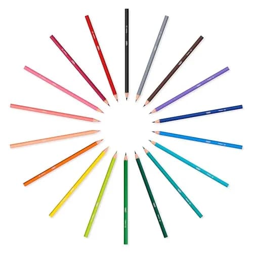 BIC Kids Tropicolors Colouring Pencils - Assorted Colours, Wallet of 24 | Bright, Non-Toxic, Easy to Hold thumbnail 3