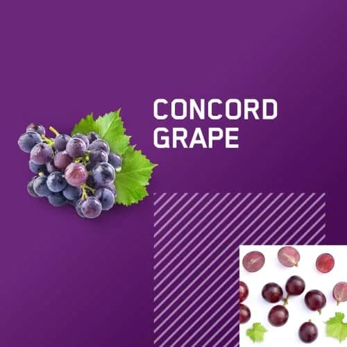 Optimum Nutrition Amino Energy Concord Grape 1.29 lb (585 g) | Energy & Muscle Recovery Blend thumbnail 2