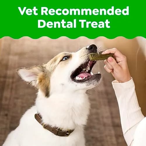 Greenies Petite Natural Dental Dog Treats, Original Flavor, 60 Count | Veterinarian-Recommended Oral Care thumbnail 2